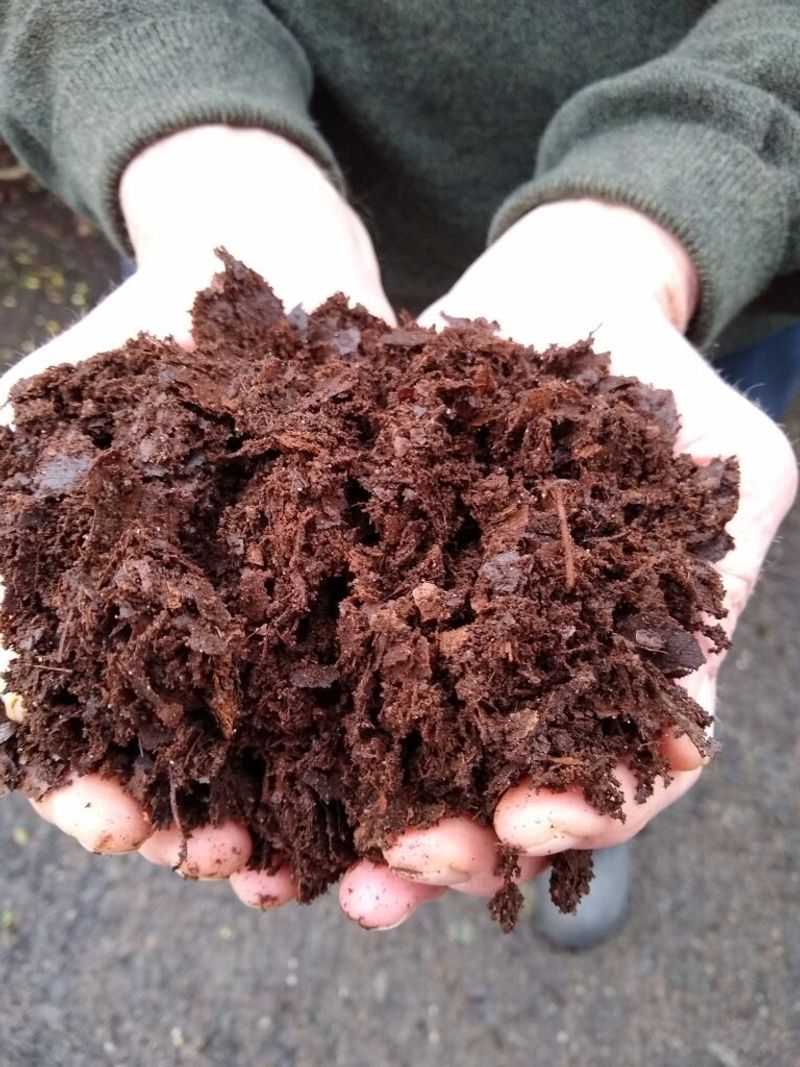 It's Completely Free And Easy To Make At Home