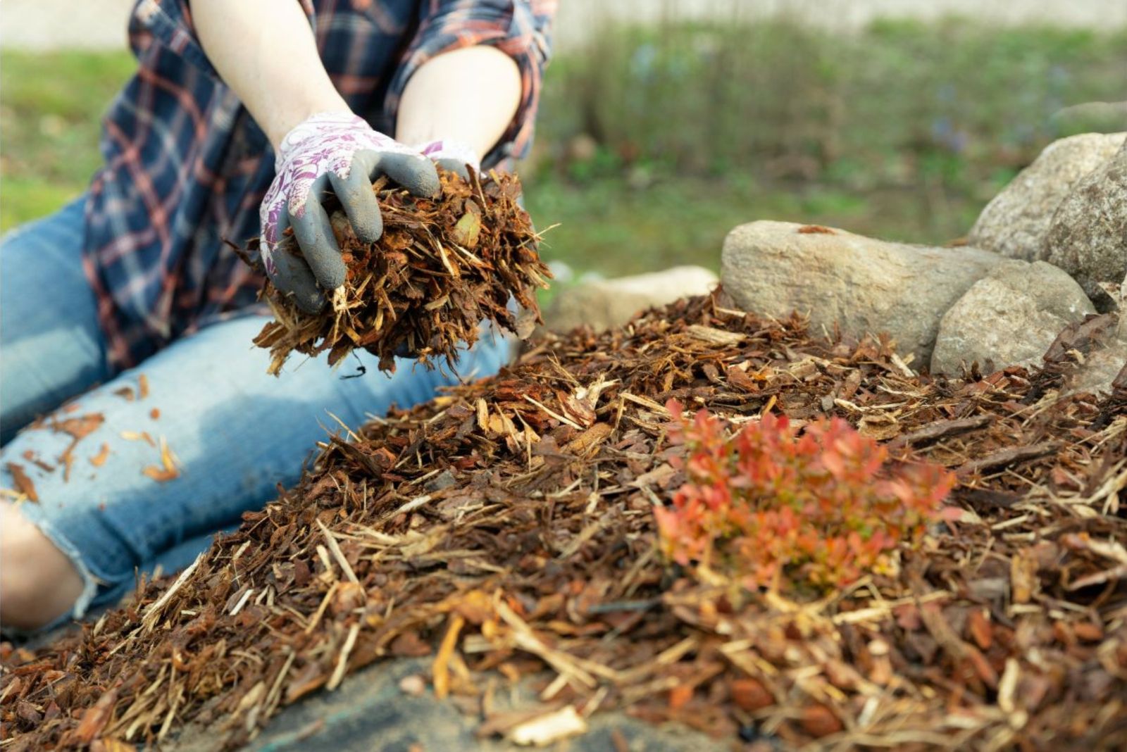 Why Minnesota Gardeners Start Mulching Their Flower Beds So Early