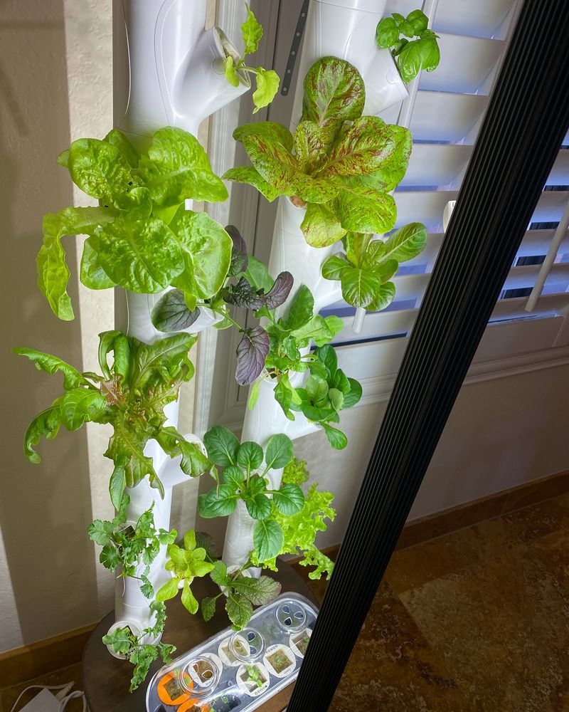 Escaping the Brutal Summer Heat