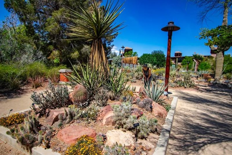 Desert Climate Dominates The Region