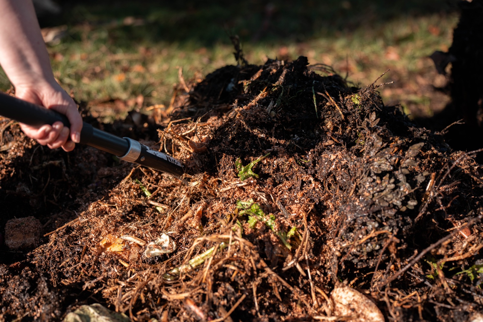 compost full of microorganisms