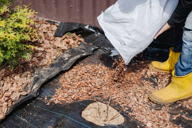 Mulching the soil with agrotextile