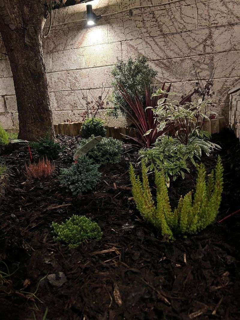 Protects Plant Roots From Freezing Temperatures