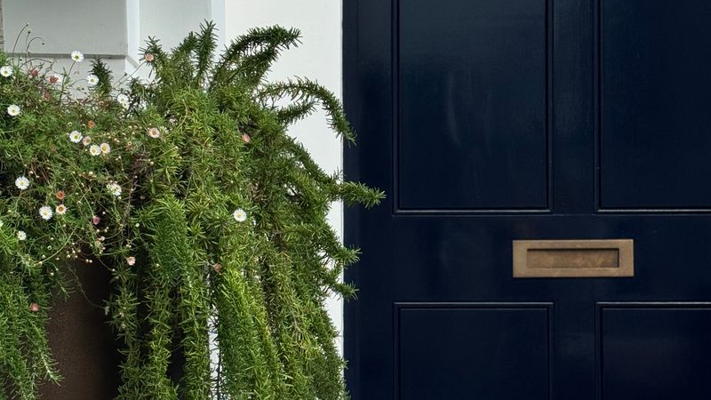 Natural Mosquito And Pest Repellent