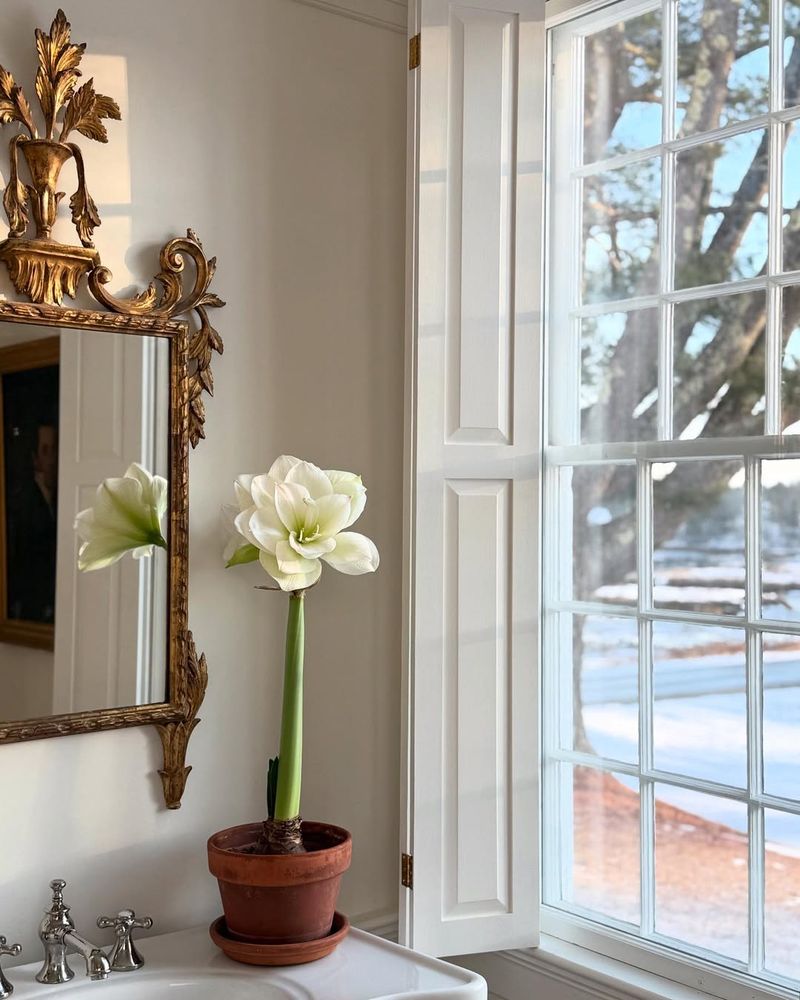 Bathroom Windows Provide Perfect Humidity