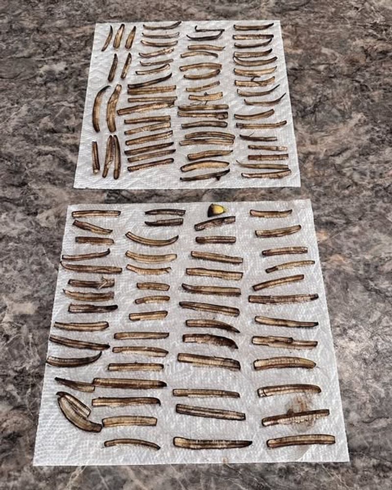 Natural Potassium Boost For Plant Health