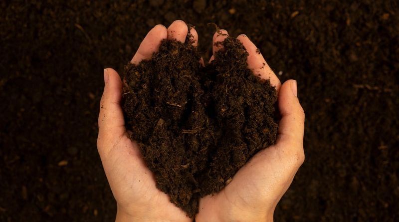 Neutralizing Acidic Soil