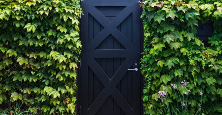 hedges too close to the door