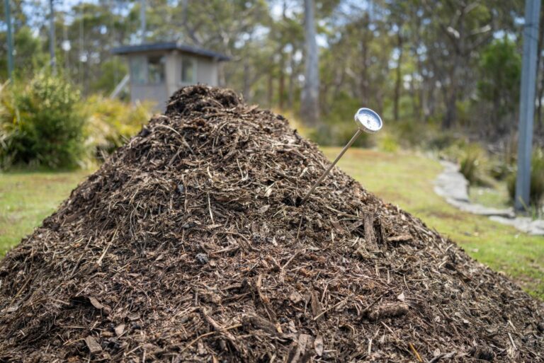 compost pile