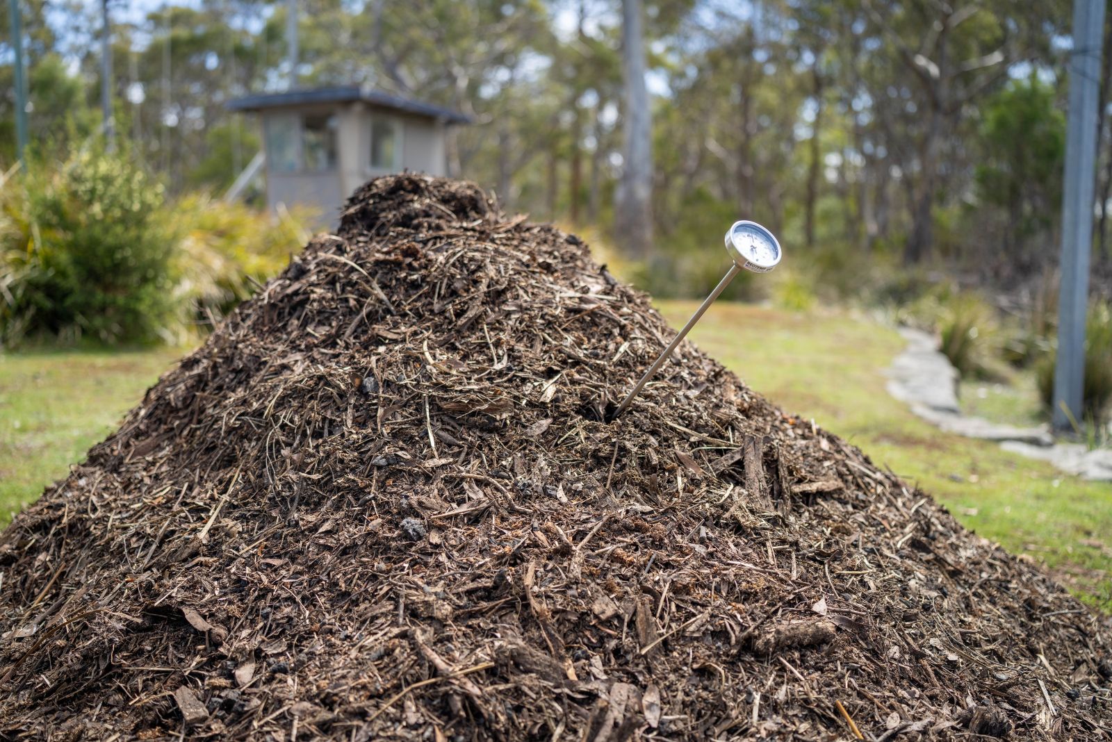 Why Your Backyard Compost Is Overheating In California This December