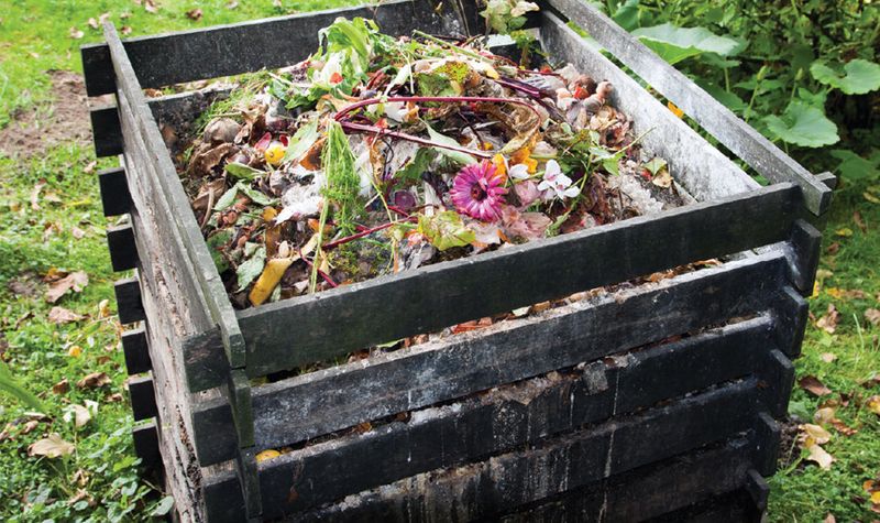 Too Much Nitrogen-Rich Material