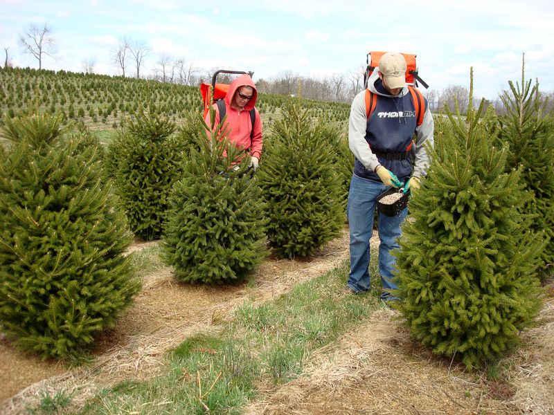 Rising Production Costs Squeeze Farmers