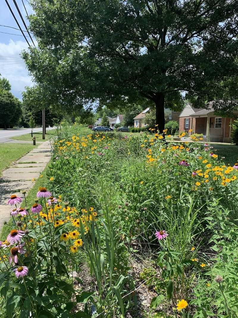 Maintenance Costs Drop to Almost Nothing Each Year