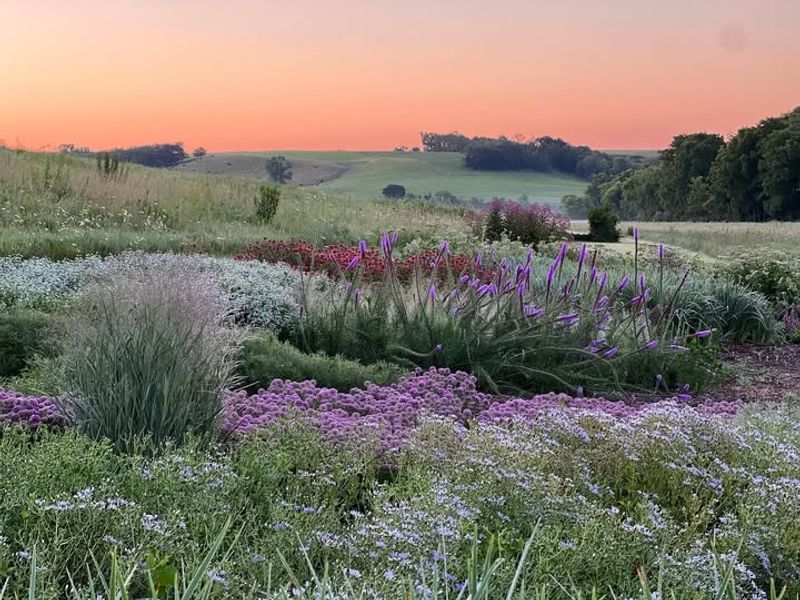 Four-Season Visual Interest