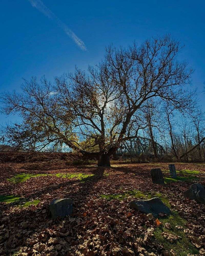 Liability Protection for Landowners