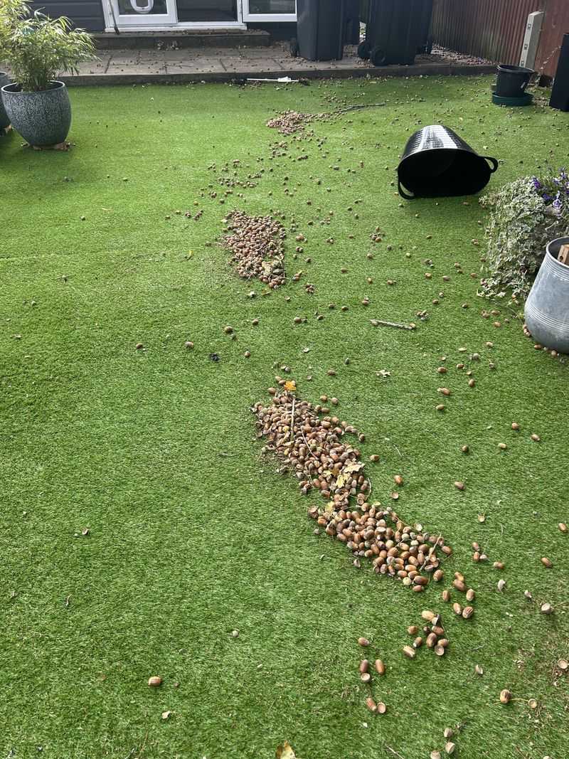 Your Lawn Mower Might Struggle