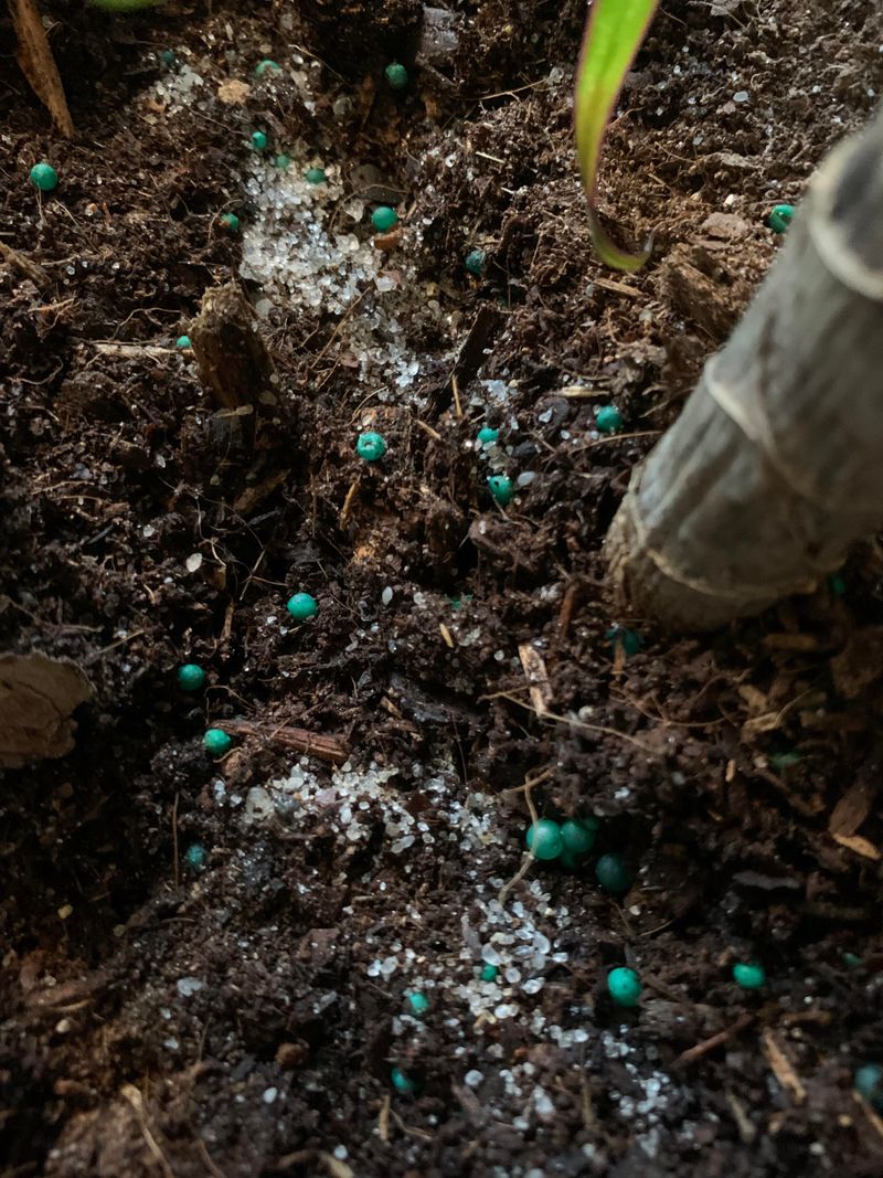 Epsom Salt Does Not Lower PH Levels