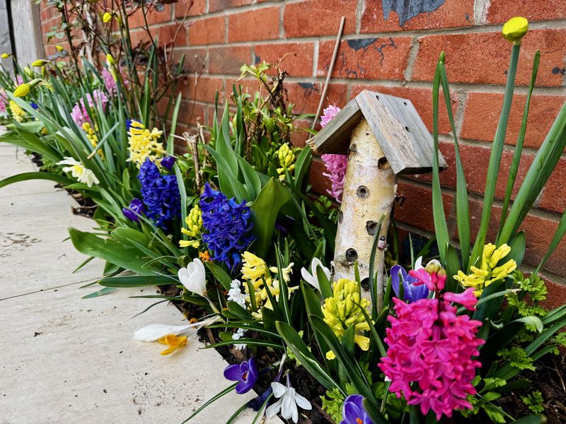 Spring Comes Late But Arrives Suddenly