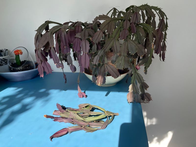 Lack Of Natural Water Sources Nearby