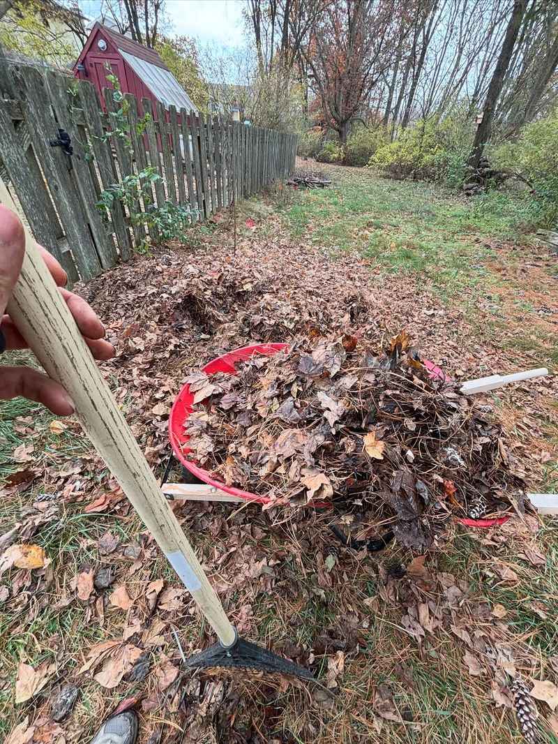 Protects Soil Structure From Freeze Damage