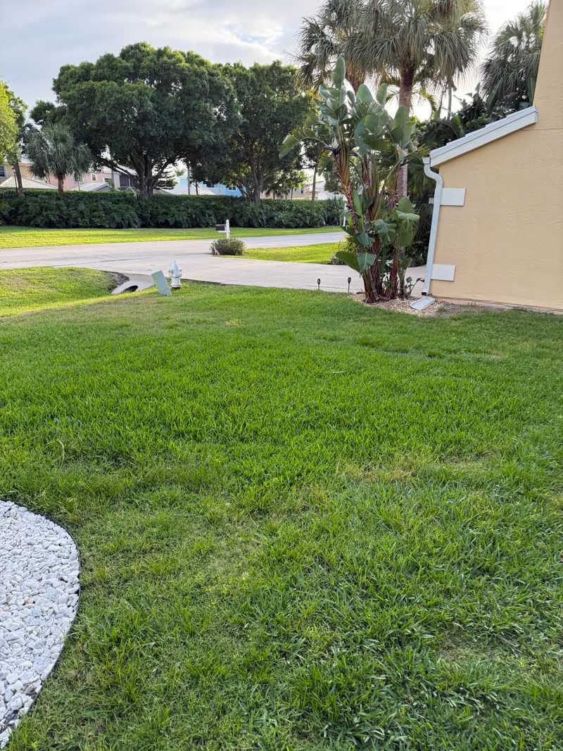 December Is Perfect Timing For Florida Lawns