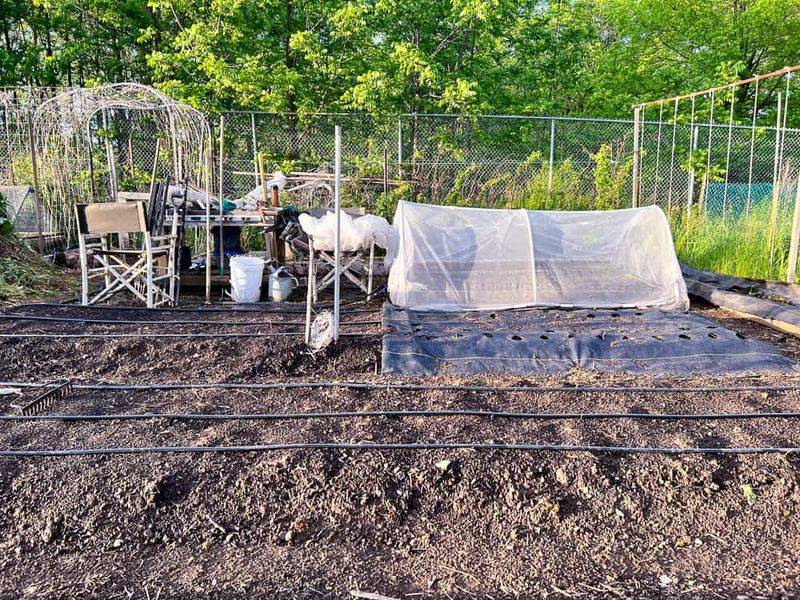 Dormant Season Means Fewer Weeds to Battle