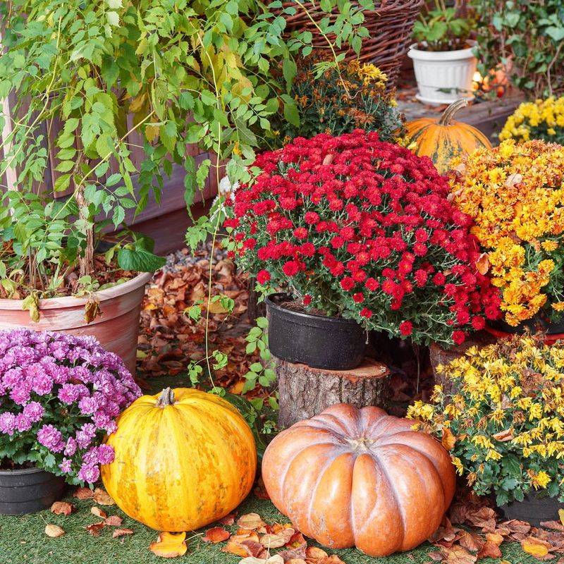 Budget Planning Prevents Overspending