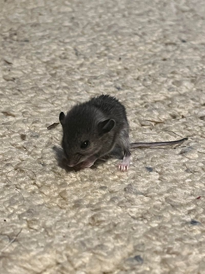 Seal Every Crack And Opening