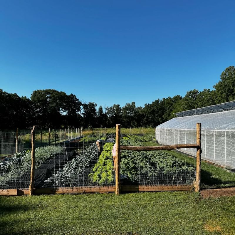 Frost Transforms Bitterness Into Sweetness