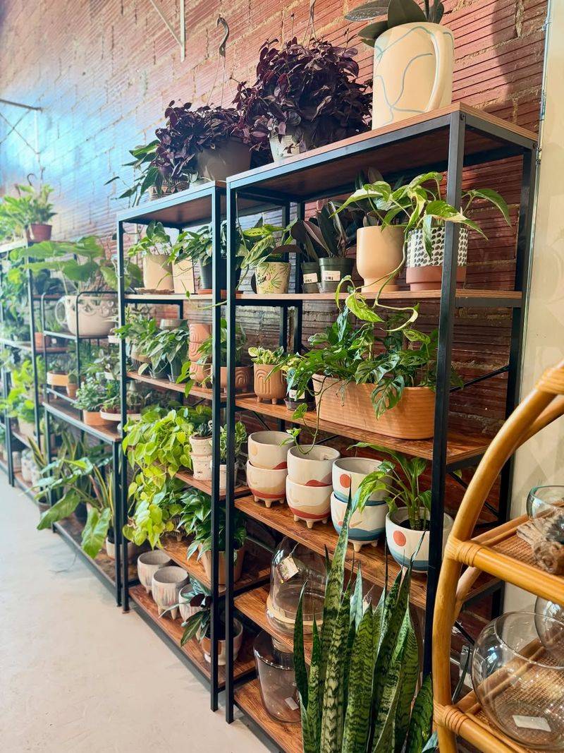 New Ownership Brings Fresh Energy