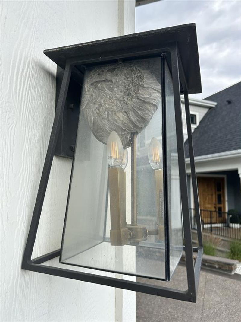 Behind Outdoor Light Fixtures And Electrical Boxes