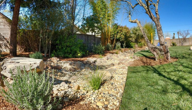 Dry Creek Bed With Stepping Stones