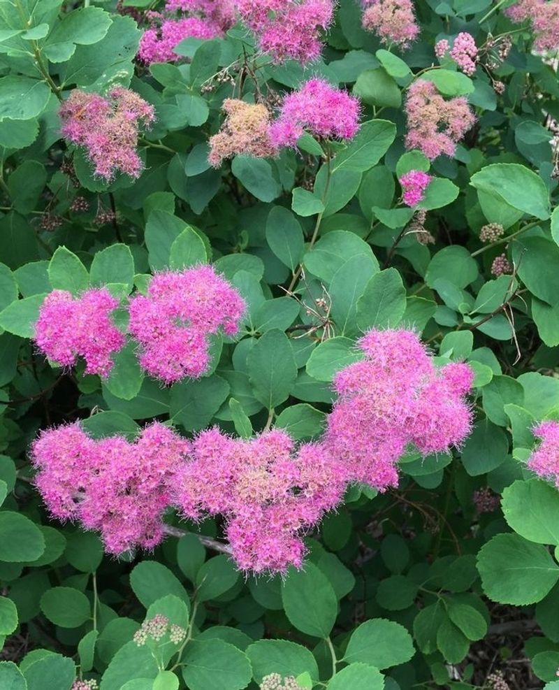 Offers Excellent Value For Your Money