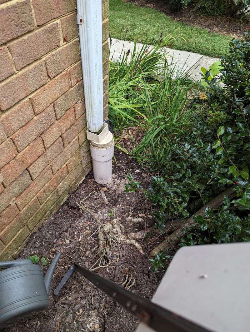Reduces Yard Erosion Problems