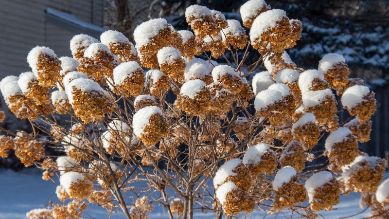 Monitor Weather And Cover When Needed