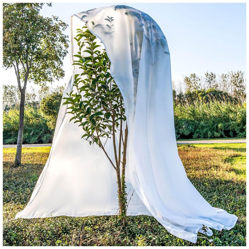 Cover Small Trees With Frost Blankets Or Sheets