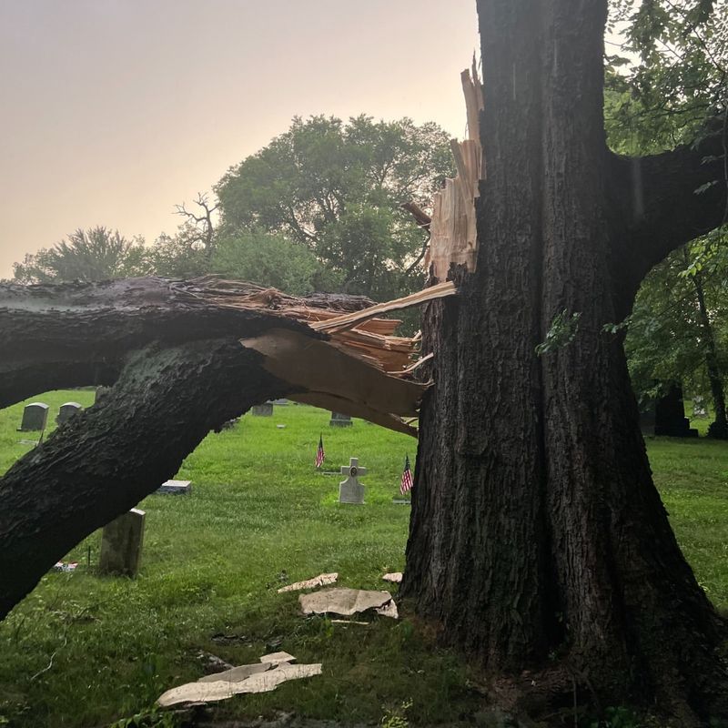 Your Insurance Policy Comes First