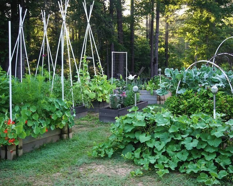 Stunning Colors Make Gardens Instagram-Worthy