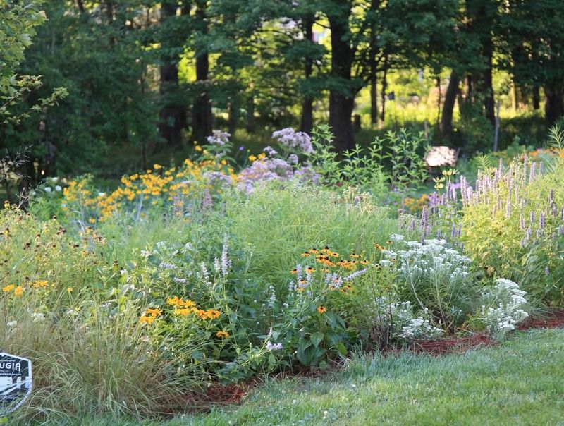 Chemical Fertilizers and Pesticides Become Completely Unnecessary