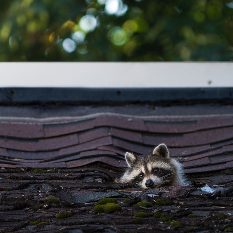 Prevention Works Better Than Removal