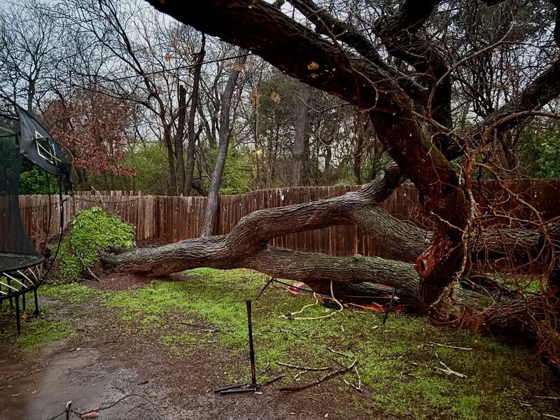 Insurance Company Roles And Claims