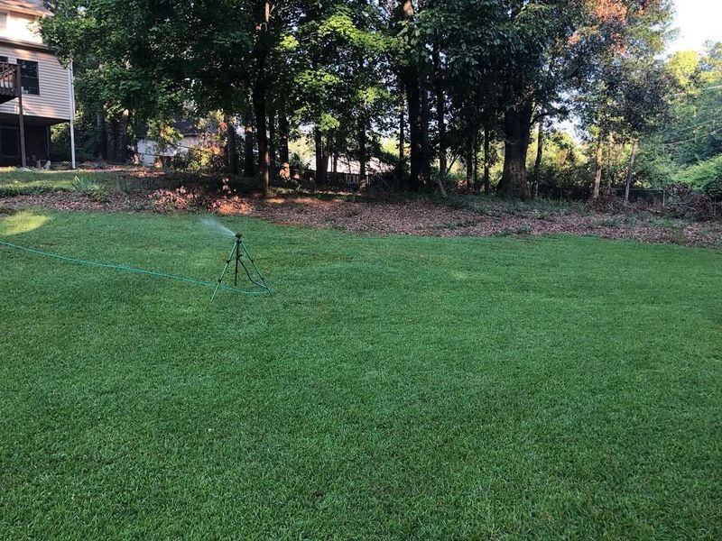 Centipedegrass (AVOID)