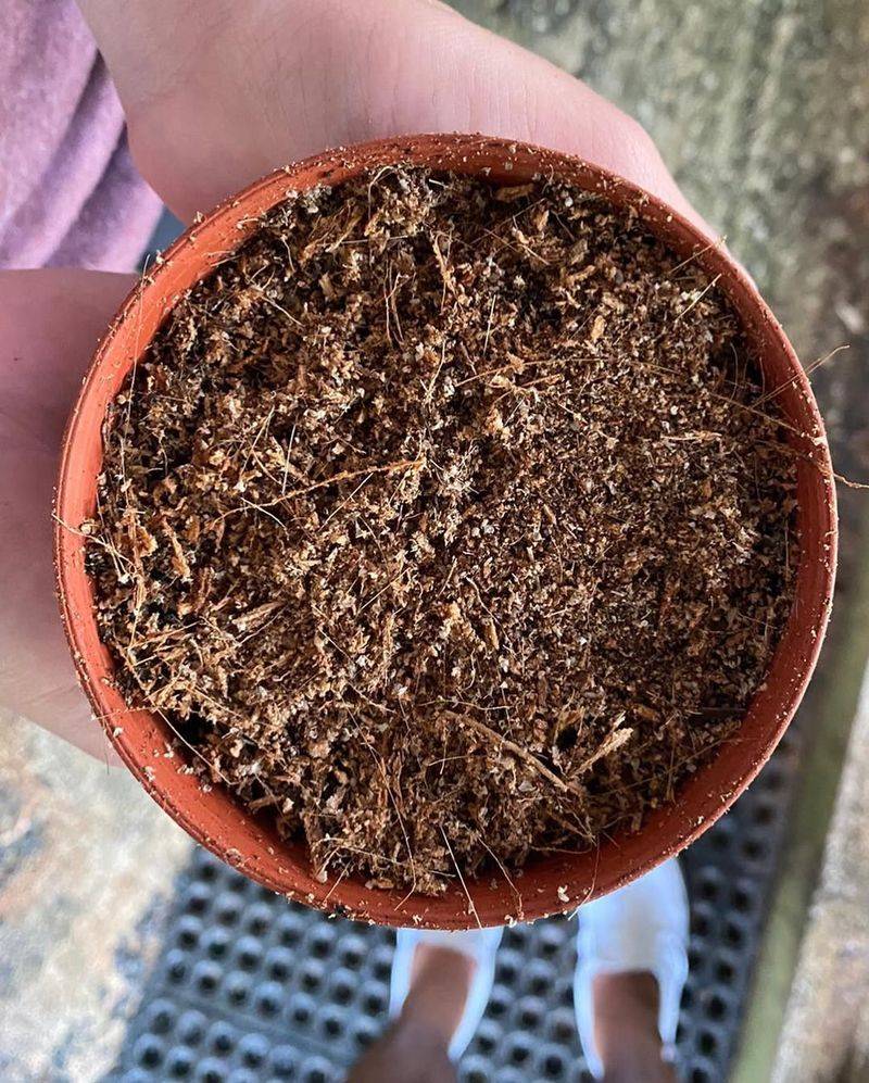 #2 Soil Drying Out Faster Than You Can Water It