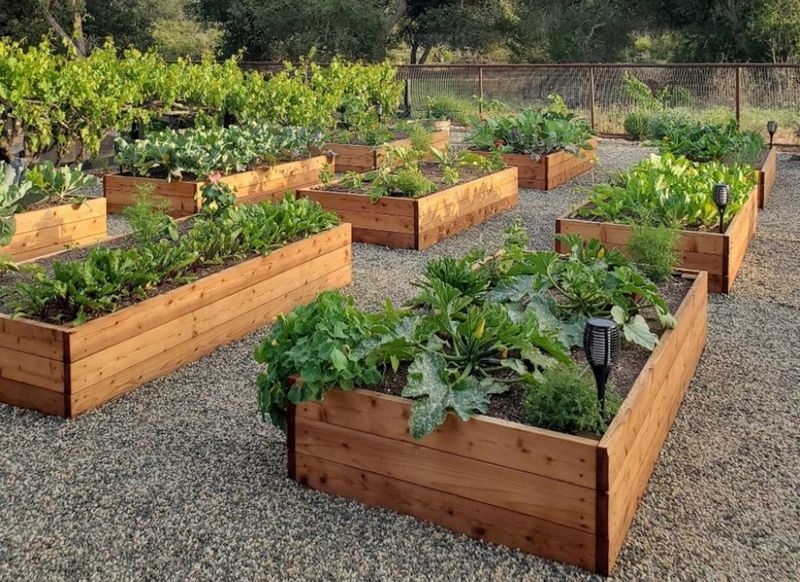 2. Lead Contamination Shows Up More Often Than Expected