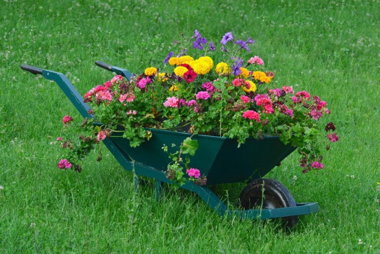 wheelbarrow planter