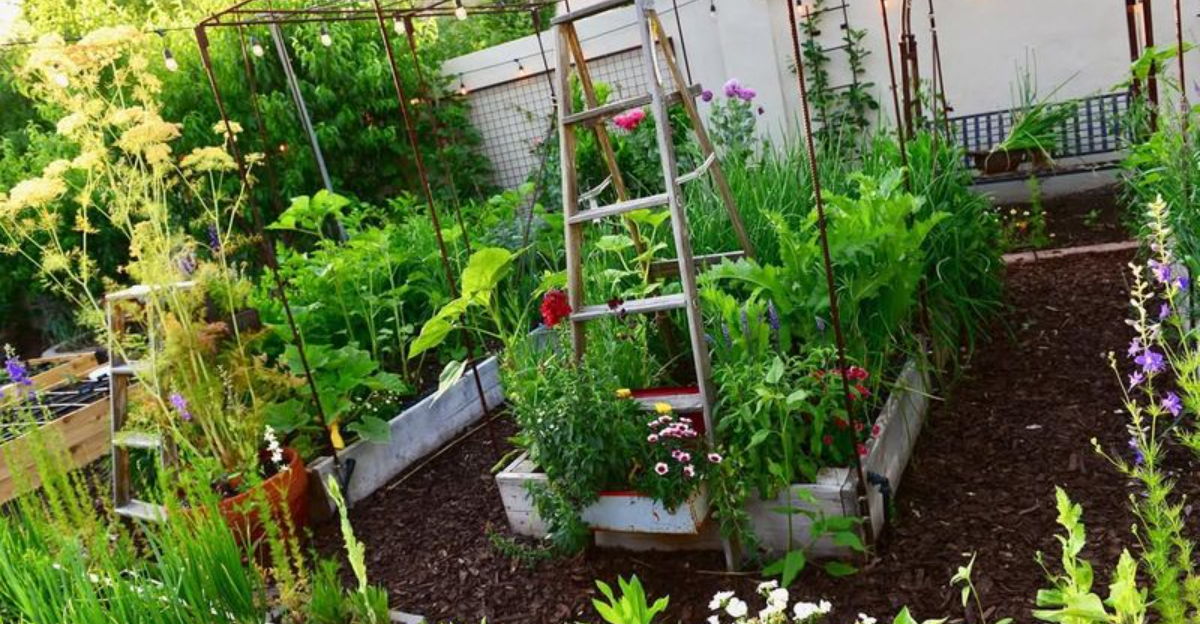 10 Free Garden Ideas North Carolina Homeowners Can Use To Improve Their Yards Without Spending A Penny