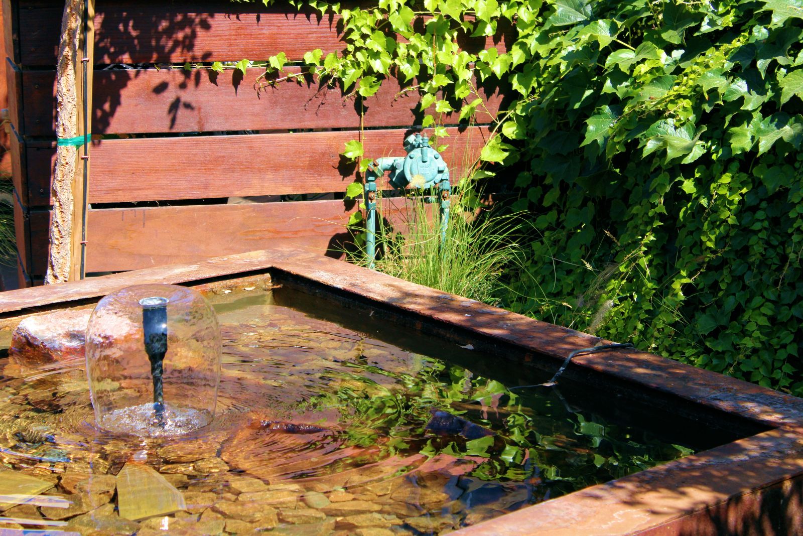 10 Micro-Habitats Thriving In Maryland Yards