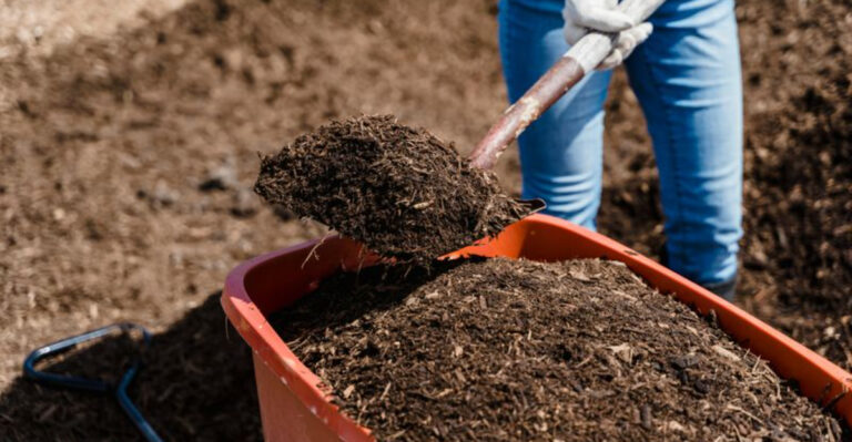 gardener takes mulch with a shovel