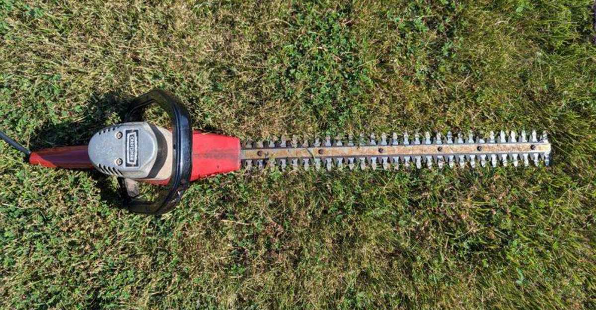 10 New Gardening Tools Ohio Homeowners Are Loving For Easier Yard Work