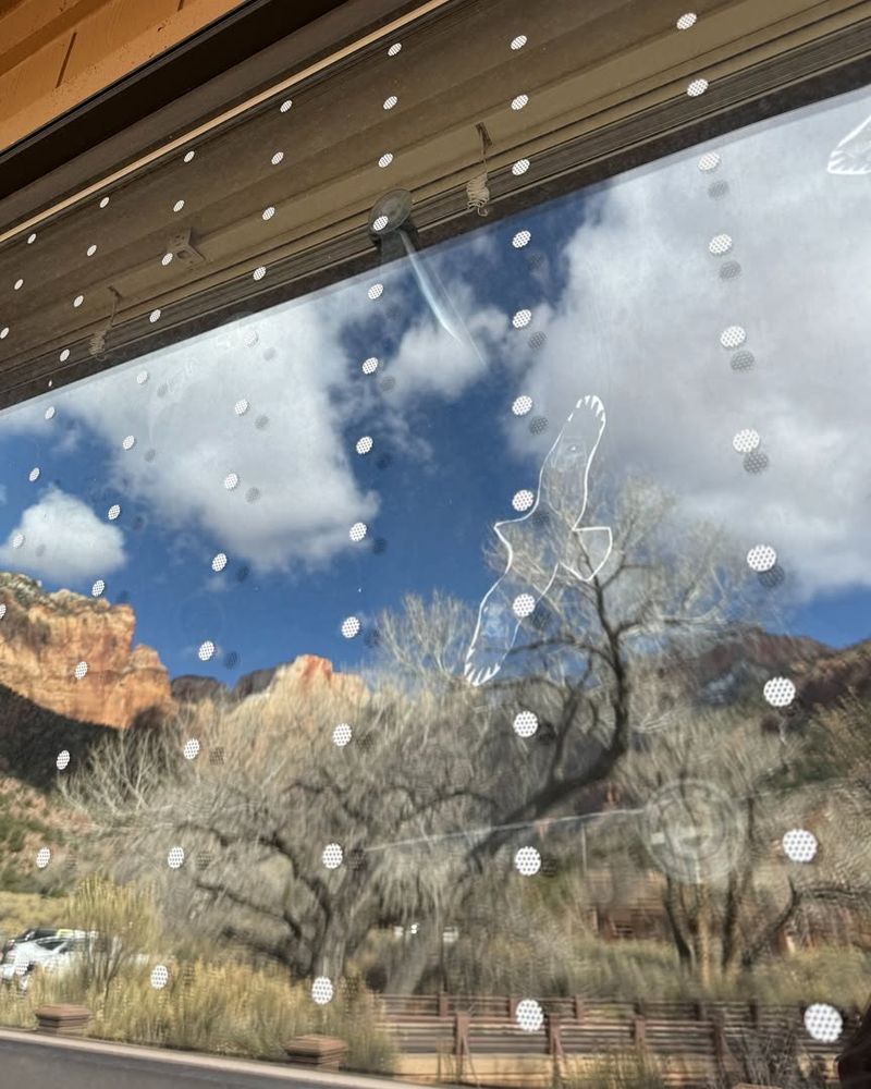 Reflective Glass Windows And Surfaces